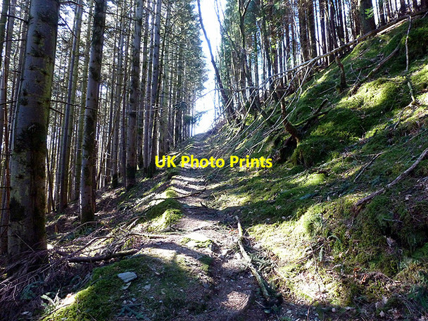 Photo 6"x4" On the climb to Devil's Bridge from the Rheidol Valley Devil's Bridge\/Pontarfynach c2013
