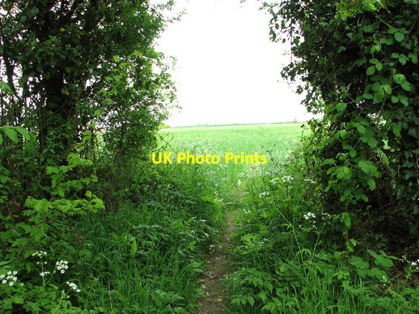 Photo 6"x4" Bridleway off Church Road, Ellough Beccles c2013