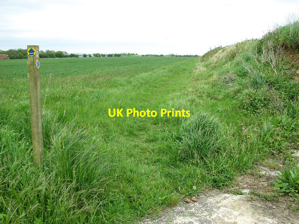 Photo 6"x4" Bridleway to Benacre Road, Ellough Beccles c2013
