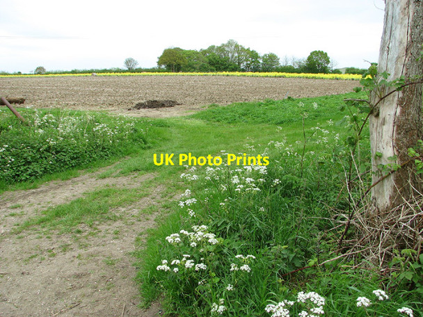 Photo 6"x4" Fields south of Ellough Moor Beccles c2013