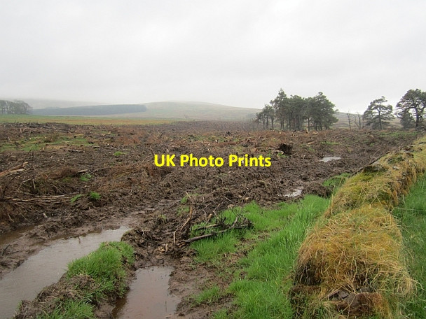 Photo 6"x4" Clear fell Greenloaning\/NN8307 c2013