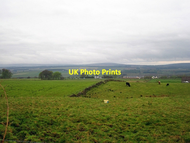 Photo 6"x4" Grazing land, Strathallan Greenloaning\/NN8307 c2013