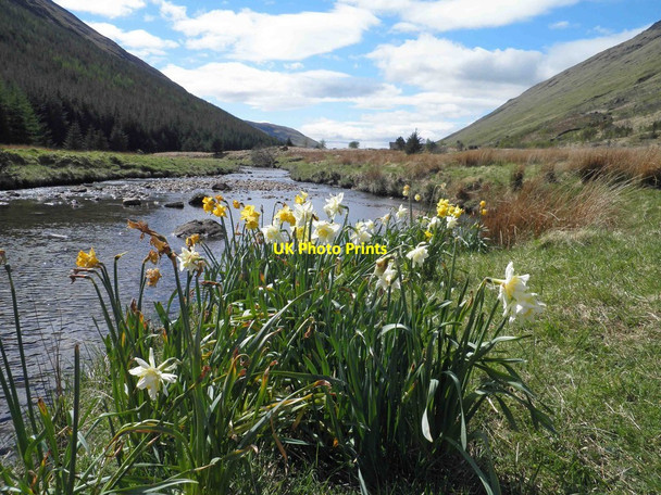 Photo 6"x4" Kinglas Water Kinglas Water\/NN2309 c2013
