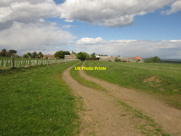Photo 6"x4" Bridleway to East Kyloe Fenwick\/NU0640 c2013