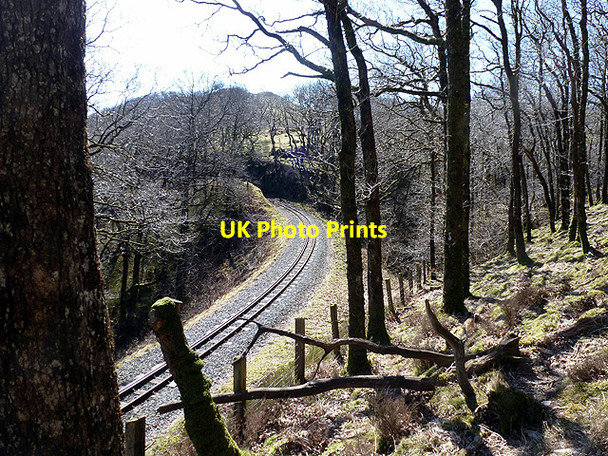 Photo 6"x4" Vale of Rheidol Railway Devil's Bridge\/Pontarfynach c2013