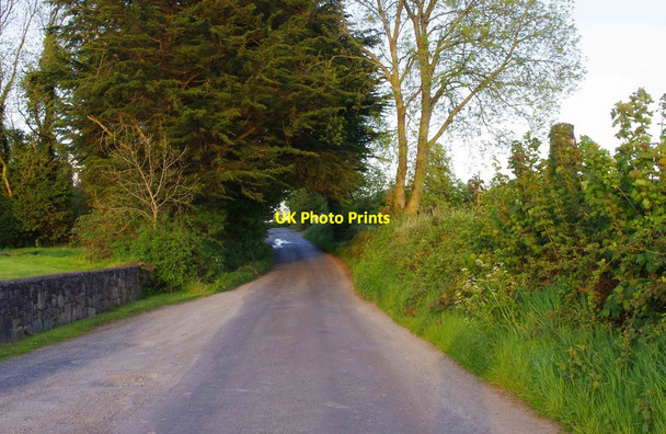 Photo 6"x4" Minor road above Ballina, Co. Tipperary Ballina\/R7072 c2013