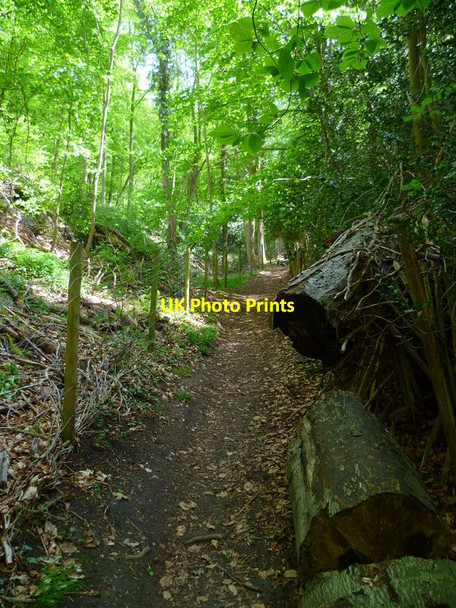 Photo 6"x4" Beeches Way (11) Hawks Hill c2013