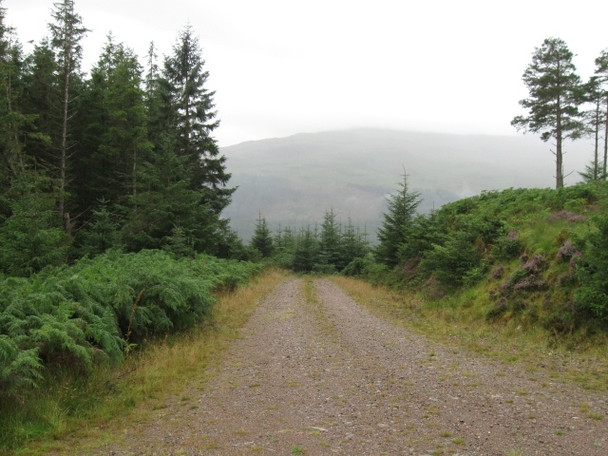 Photo 6"x4" Track downhill, Ardgour in distance, below Druim na Saille Kinlocheil c2008