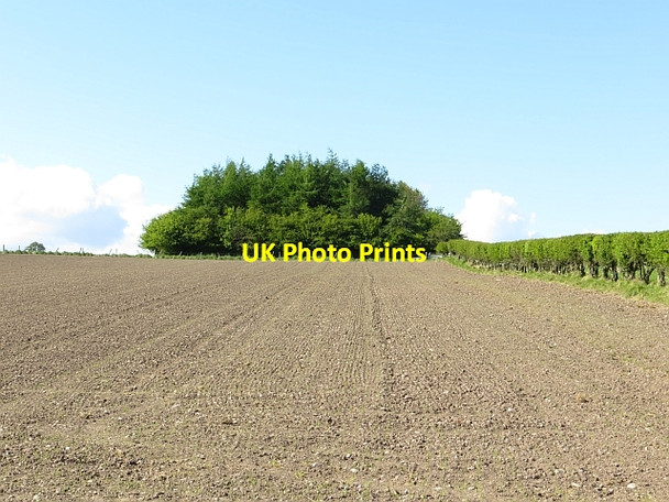 Photo 6"x4" Newly sown field, Denbrae Kedlock c2013