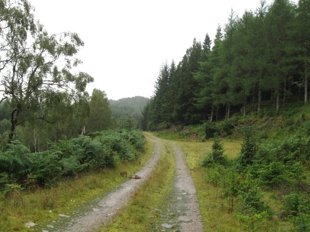 Photo 6"x4" Forestry track above Craigag Lodge Glenfinnan c2008