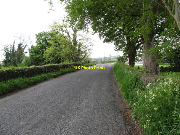 Photo 6"x4" Road south east from Bridge-A Chrinn  Kilcurly c2013