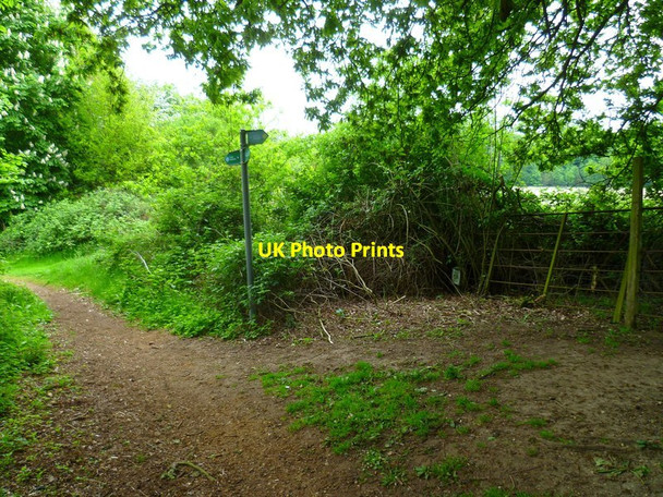 Photo 6"x4" Beeches Way (82) Uxbridge c2013