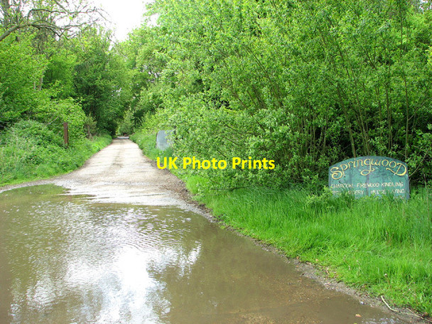 Photo 6"x4" Big puddle beside Spring Lane Lundy Green c2013