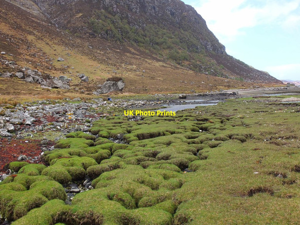 Photo 6"x4" Sea-washed turf, Glendhu Glendhu\/NC2833 c2013