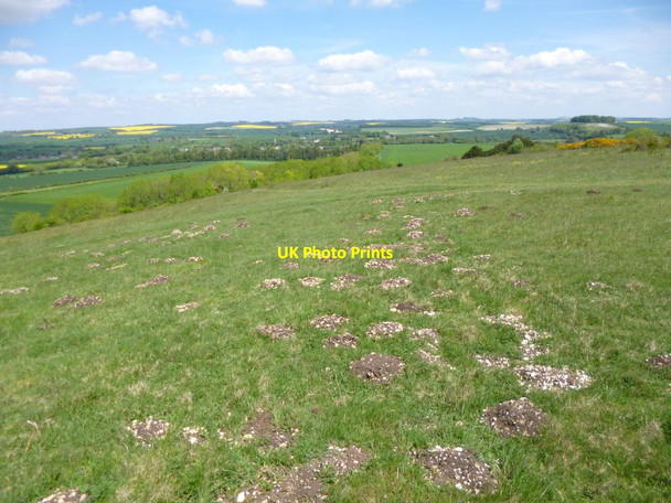 Photo 6"x4" Martin, molehills Martin\/SU0619 c2013