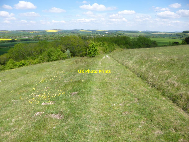 Photo 6"x4" Martin, bridleway Martin\/SU0619 c2013