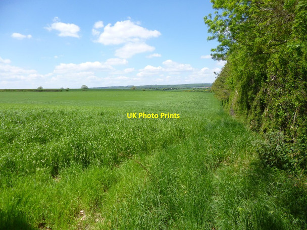 Photo 6"x4" Martin, cropland Martin\/SU0619 c2013