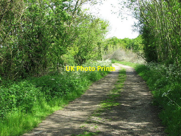 Photo 6"x4" To Winter's Grove on Nobbs' Lane, Hempnall Road Green\/TM2693 c2013