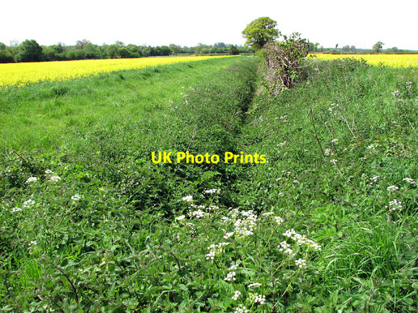 Photo 6"x4" Field boundary ditch, Fritton Fritton\/TM2292 c2013