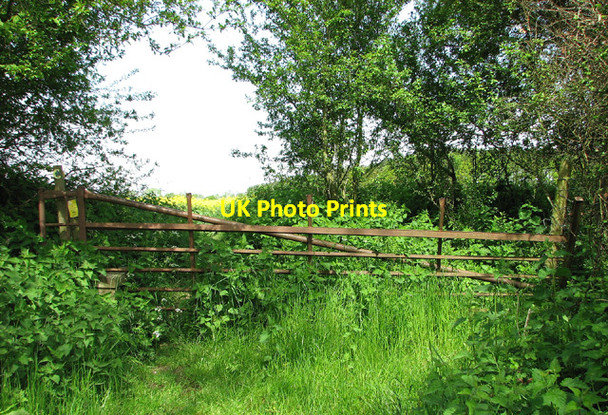 Photo 6"x4" Dilapidated gate and stile on footpath to Fritton Common Fritton\/TM2292 c2013