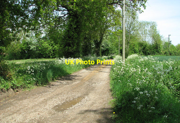 Photo 6"x4" Access road to Manor Farm, Shelton Green Shelton\/TM2290 c2013