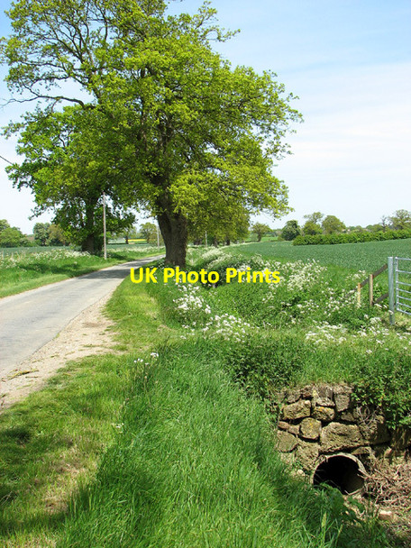 Photo 6"x4" Ditch beside Dulgate Road, Bedingham Green Bedingham Green c2013
