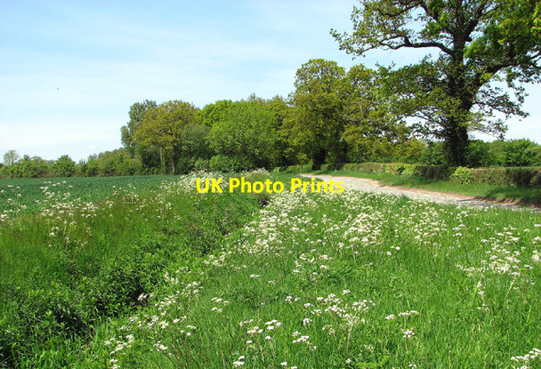Photo 6"x4" View west along Denton Road Denton\/TM2788 c2013