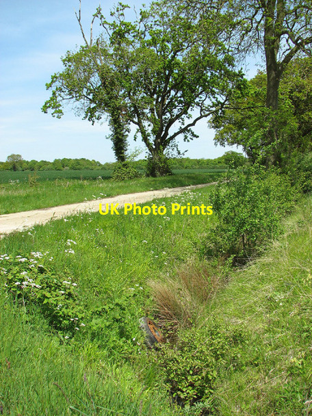 Photo 6"x4" Discarded tyre in ditch beside Whitehouse Lane Upgate Street\/TM2891 c2013