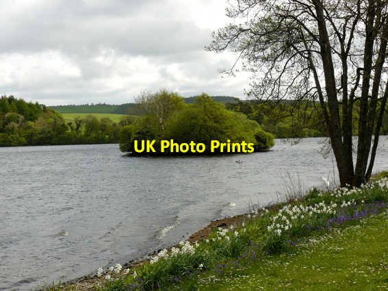Photo 6"x4" Crannog within the Castle Kennedy estate Castle Kennedy\/NX1059 c2013