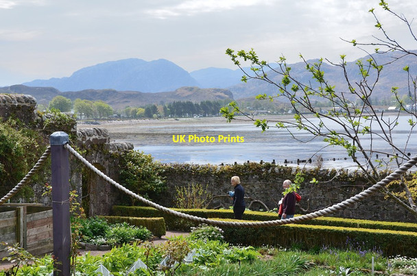 Photo 6"x4" In Inverewe Garden Londubh c2013