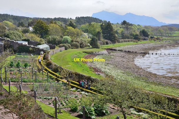 Photo 6"x4" In Inverewe Garden (4) Londubh c2013