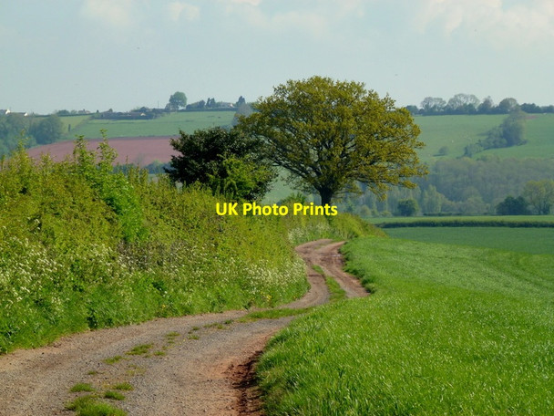 Photo 6"x4" Farm track and footpath Lea\/SO6521 c2013