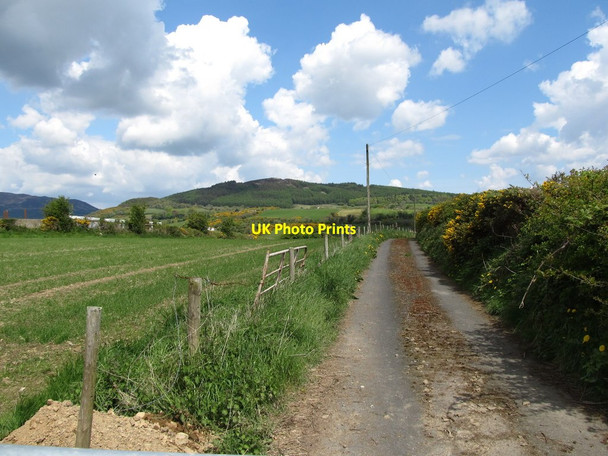 Photo 6"x4" Farm lane leading off the L7105 Forkhill c2013