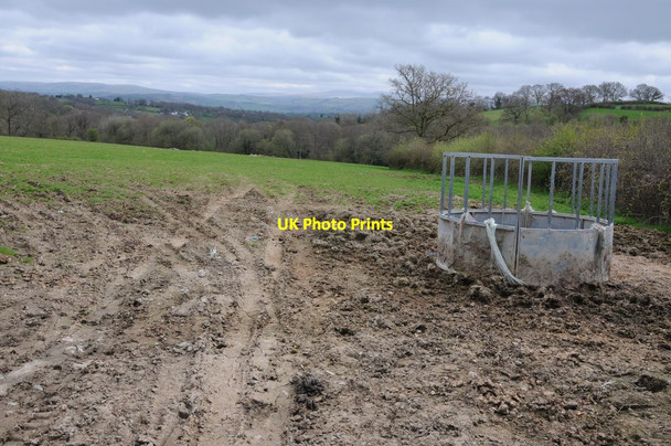Photo 6"x4" Cattle feeder in a field Llansadwrn\/SN6931 c2013