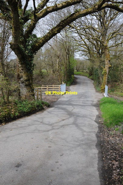 Photo 6"x4" New bridge over a stream Llansadwrn\/SN6931 c2013