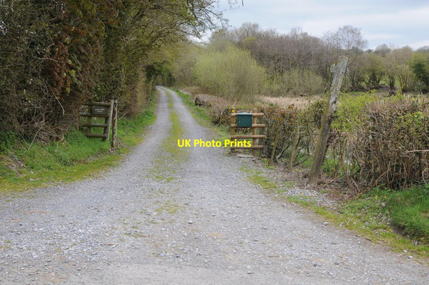 Photo 6"x4" Track and footpath near Llansadwrn Cwmdwr c2013