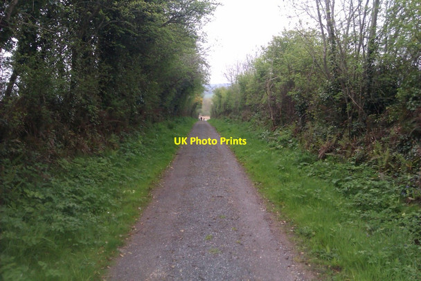 Photo 6"x4" Road to Raheen Quay Clashmore\/X1284 c2013