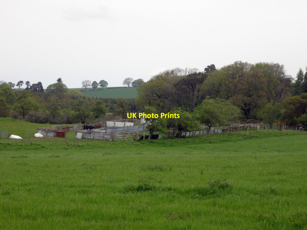 Photo 6"x4" Sheep pens near Lucker Moor Warenford c2013