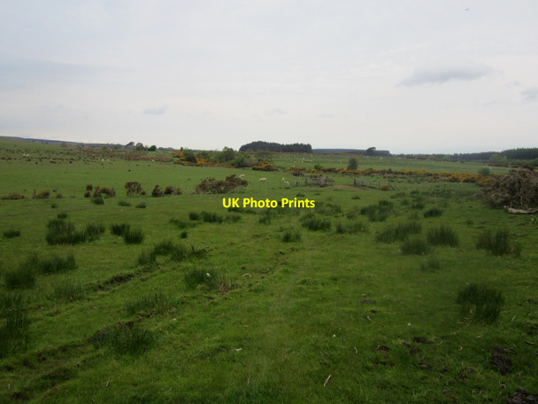 Photo 6"x4" Rough grassland near Lucker Moor Warenford c2013