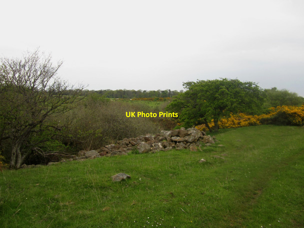 Photo 6"x4" Pile of stones on grazing land near Lucker Moor Warenford c2013