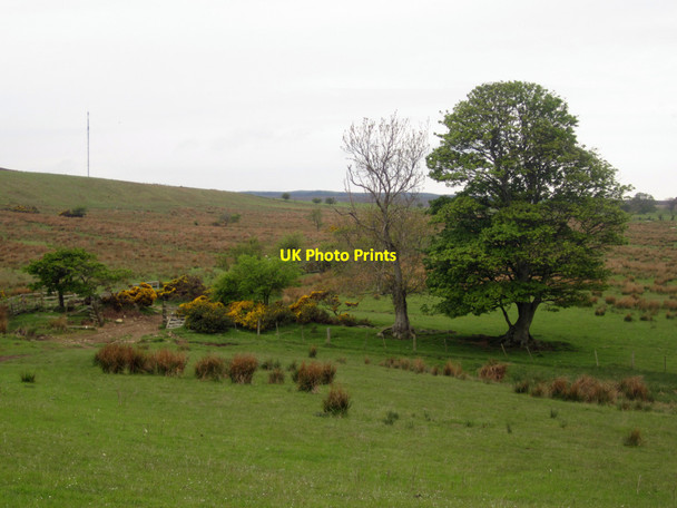Photo 6"x4" Gateway between fields on Lucker Moor Warenford c2013