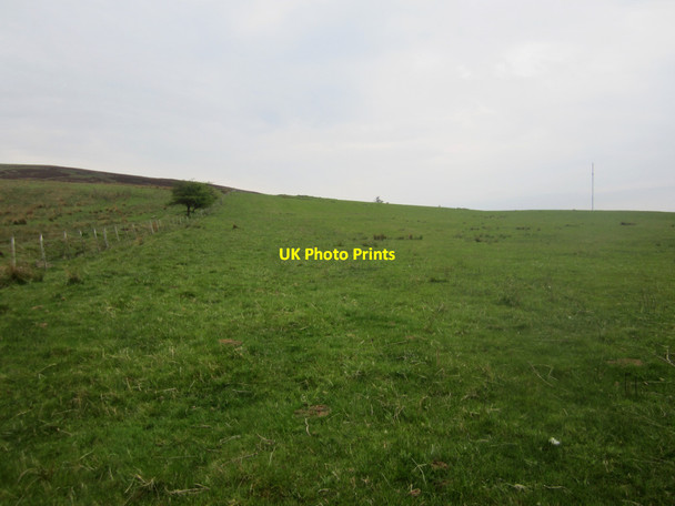 Photo 6"x4" Grassland on Lucker Moor Warenford c2013