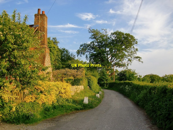 Photo 6"x4" Tumber Street, Headley Headley\/TQ2054 c2013