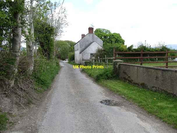 Photo 6"x4" House alongside the L7106 Faughart Upper c2013