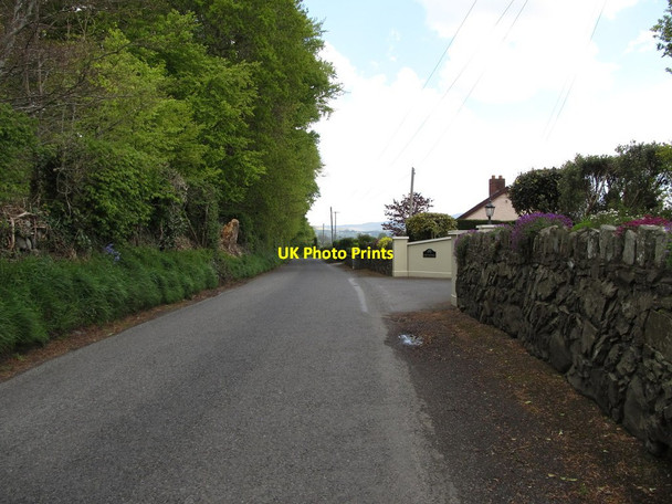 Photo 6"x4" Approaching Lennonstown from the west Kilcurly c2013