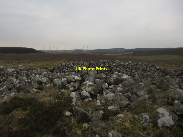 Photo 6"x4" South eastern cairn on summit of Longstone Hill Warenford c2013