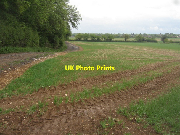 Photo 6"x4" Little Wildcroft Field Pardown c2013