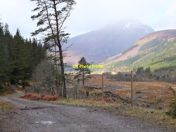 Photo 6"x4" Track, Achashellach Forest Craig\/NH0349 c2013