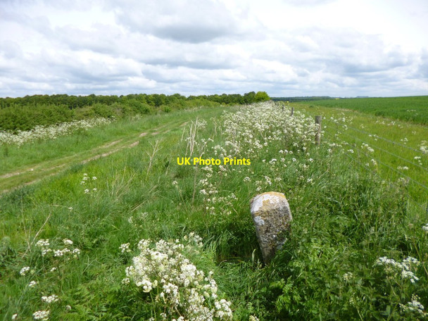 Photo 6"x4" Toyd Down, milestone East Martin c2013