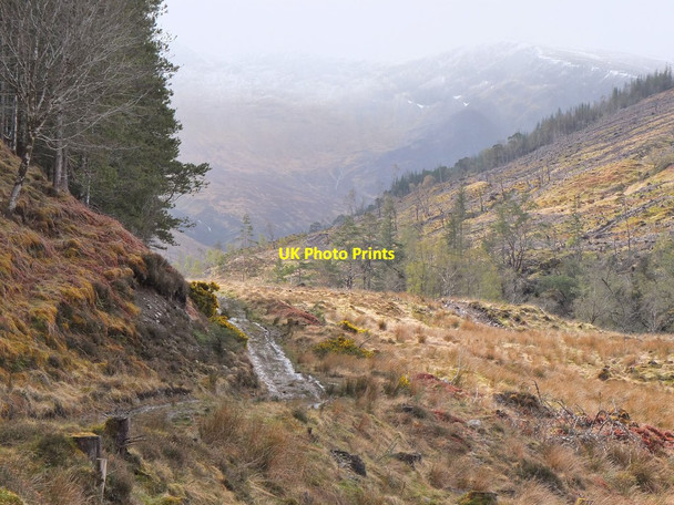 Photo 6"x4" Track to Coire na h-Eilde, Achnashellach Forest Craig\/NH0349 c2013
